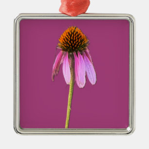 De Metal Ornamento do ConEFlower Roxo