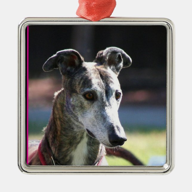 De Metal Ornamento do galgo (Frente)