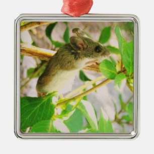 De Metal Ornamento do mouse