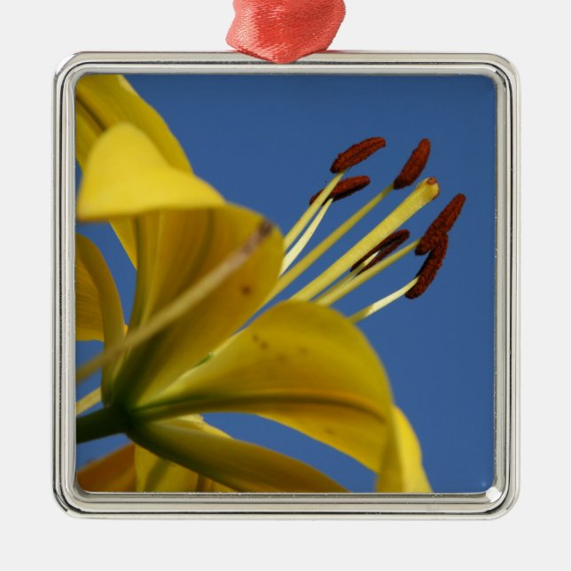 De Metal Ornamento Lily Amarelo (Frente)