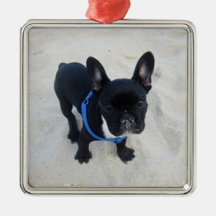De Metal Ornamento para Bulldog Francês Personalizado