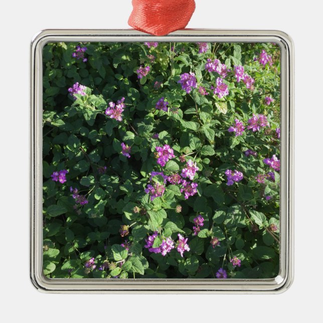 De Metal Ornamento quadrado (Frente)