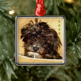 De Metal Ornamento Quadrado Schnoodle Premium