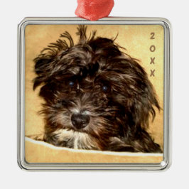 De Metal Ornamento Quadrado Schnoodle Premium