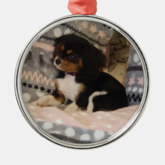 De Metal Ornamento Redondo Premium