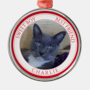 De Metal Ornamento Redondo Premium do PET LOVE + Texto / Ve