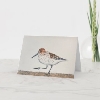 De Notas Cartão Dobrado Sandpiper