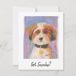 De Notas Tem Snacks? Cartão Canino