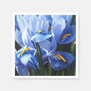 De Papel guardanapo azul Bonito da íris