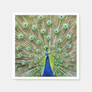 De Papel Guardanapo do pavão
