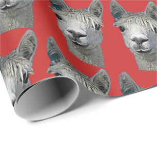 De Presente Alpaca no papel vermelho