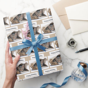 De Presente Aniversário Tabby Cat em Papel Bag