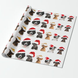 De Presente Cachorros em Papai Noel Molhando Papel para o Nata