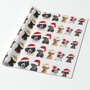 De Presente Cachorros em Papai Noel Molhando Papel para o Nata