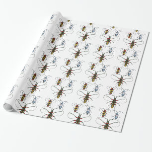 De Presente Envoltório do papel dos besouros