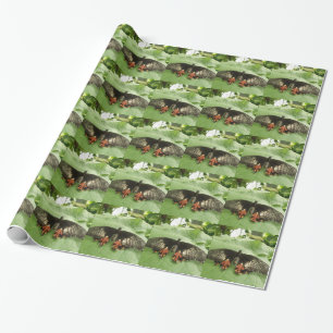 De Presente Papel bonito vermelho preto e Dourado para enrolam