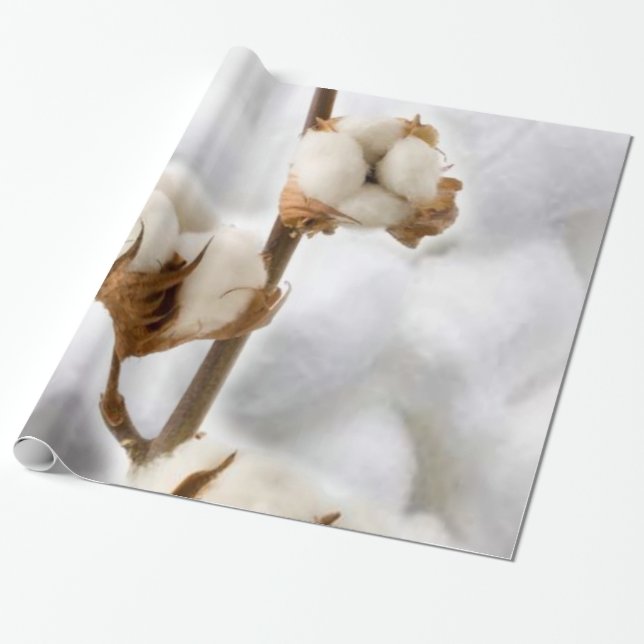 De Presente Papel Brilhante, Algodão (Desenrolado)