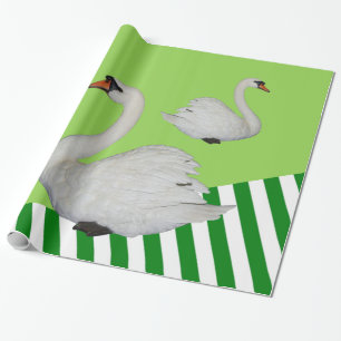 De Presente Papel Brilhante, Faixa Verde Cisne