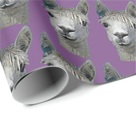 De Presente Papel da alpaca no malva