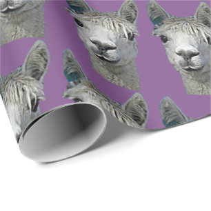 De Presente Papel da alpaca no malva
