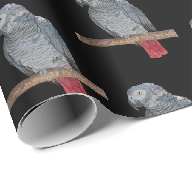 De Presente Papel Pesky Parrot Wraping (Ponta do rolo)