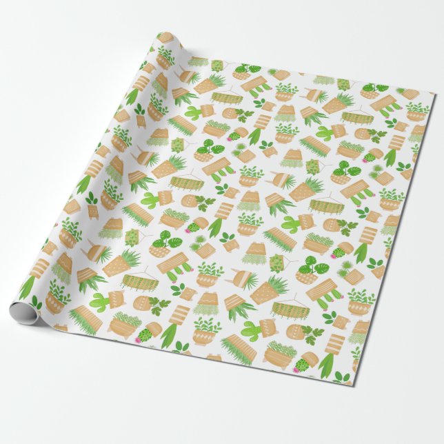 De Presente Plantas Domésticas Cacto em Papel Branco (Desenrolado)