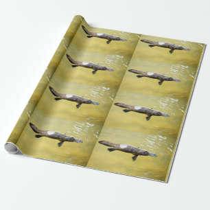 DE PRESENTE PLATYPUS AUSTRÁLIA WRAPPING PAPEL