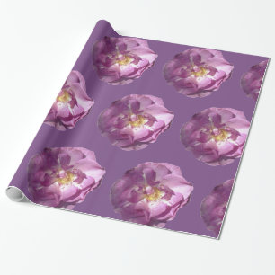De Presente Rosas rosa Papel Brilhante