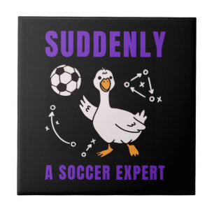 De repente um especialista em futebol