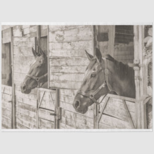 De Seda antigo papel tecidular estável para cavalos