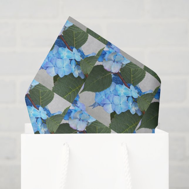 De Seda Azul Lacecap Hydrangea Papel Padrão Floral (Sacola de presentes)