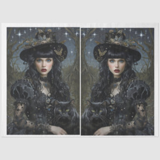 De Seda Bruxa Mística com Papel Tecido Espelhado por Gatos