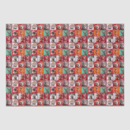 De Seda Cachorros Pequenos em Suores Quebrando Papel