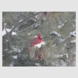 De Seda Cardeal 3093 - Papel Tecido