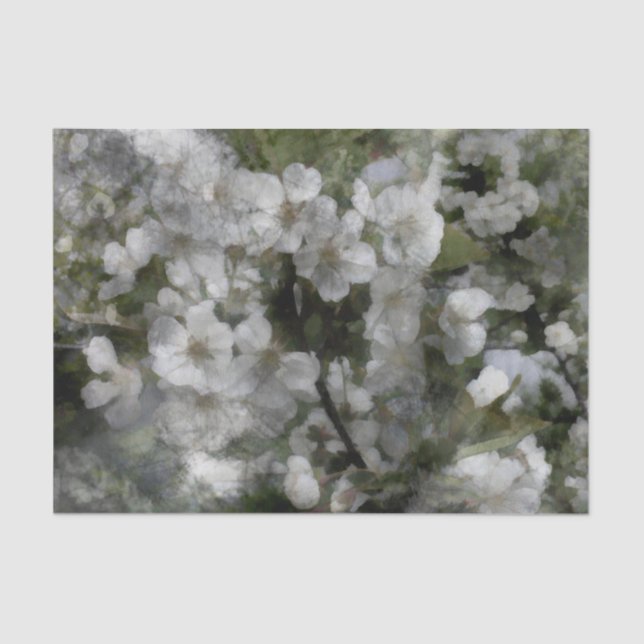 De Seda Cereja floresce Papel Tecido (Frente )
