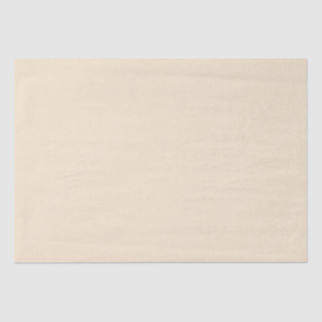 De Seda Champanhe 15" X 20" Papel Tecido (Frente )