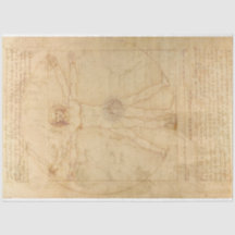 Da Vinci Papel Decoupage Homem Vitruviano