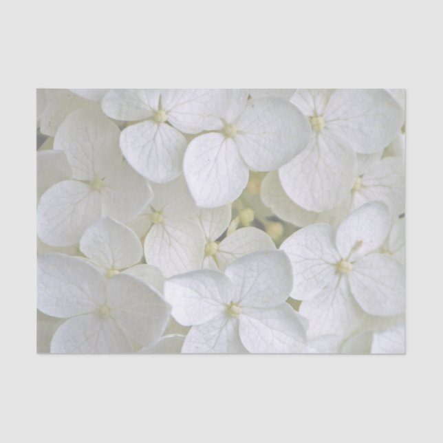 De Seda Hydrangea 6775 Papel Tecido (Frente )