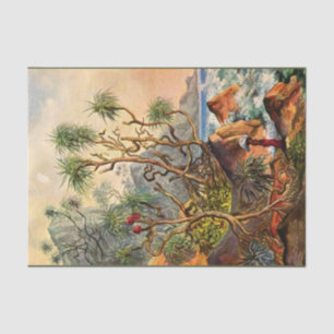 De Seda Island Ernst Haeckel Decoupage Papel Tecido