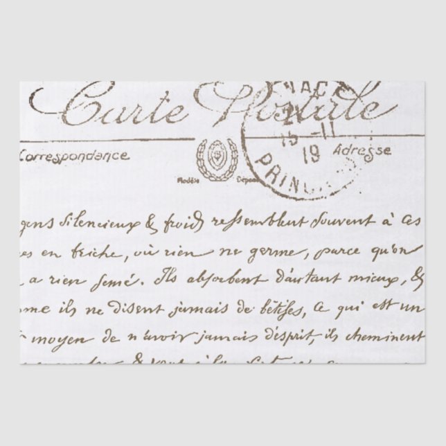 De Seda Linda Carte Postale - Papel Tecidual Francês (Frente )