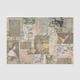 De Seda Mostre Seu Próprio Papel Tecidual Do Dragão