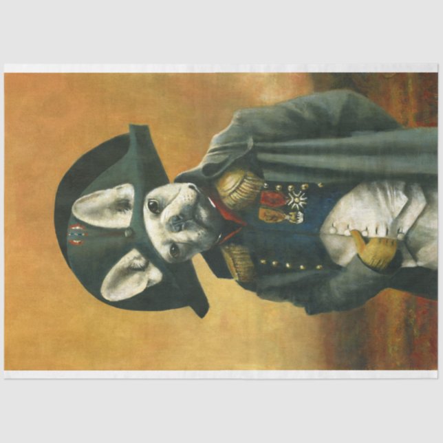 De Seda Napoleão - Papel Tecido para Bulldog Francês (Frente )