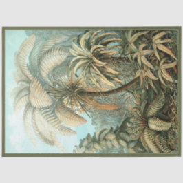 De Seda Nature Fern Ernst Haeckel Decoupage Papel Tecido