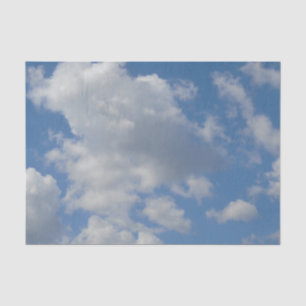 De Seda Nuvens brancas/Cinzas e papel tecidos azuis