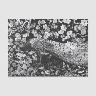 De Seda Papel branco e preto