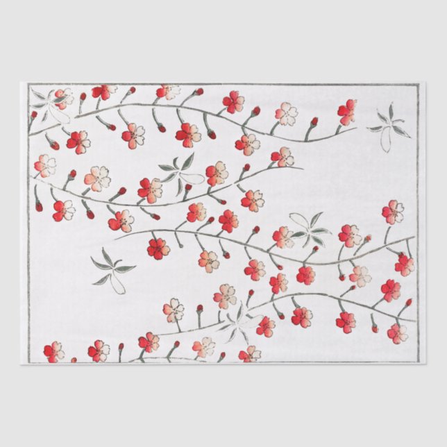 DE SEDA PAPEL DOS TECIDOS: WATANABE SEITEI : CHERRY BLOSSO (Frente )