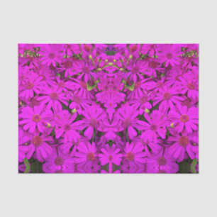 De Seda Papel Escuro Cor-de-rosa/Rosa Púrpura