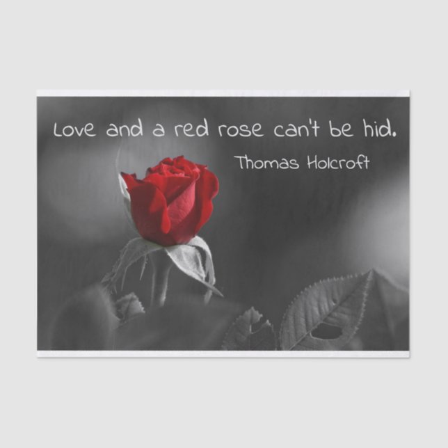 De Seda Papel no tecido da rosa vermelha (Frente )