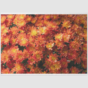 De Seda Papel no Tecido Flor