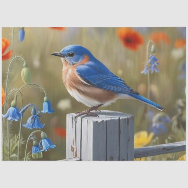 De Seda Papel Pequeno e Azul Pássaro (Frente )